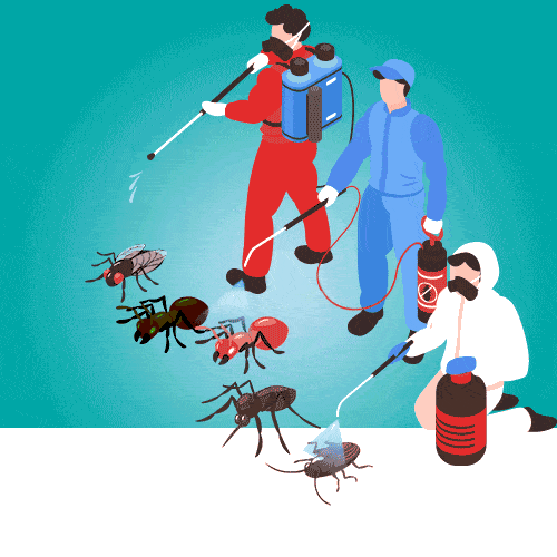 Pest control services noida